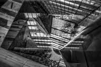 Space and Form 11 Fine Art Print