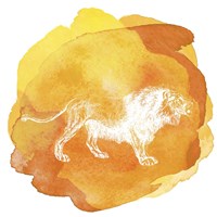 Color Spot Safari Animals Lion Framed Print