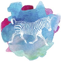 Color Spot Safari Animals Zebra Fine Art Print