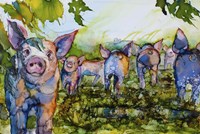 Pig Tales Fine Art Print