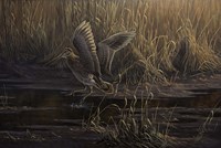 Dropping In Fine Art Print