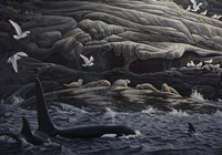 Gabriola Island Gathering Framed Print