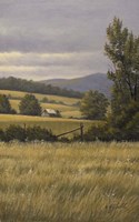 Hayfields Near Arlington Fine Art Print