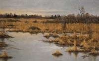 Muskrat Marsh Fine Art Print