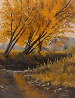 Undercut Bank Fine Art Print