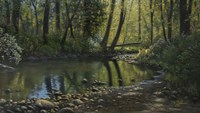 Woodland Creek Fine Art Print