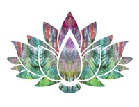Lotus Fine Art Print