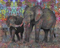 No Hunting Fine Art Print