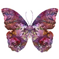 Cinematic Butterfly Fine Art Print