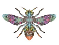 Transverse Bee Fine Art Print