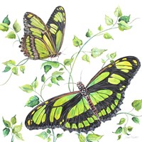 Summertime Butterflies D Fine Art Print