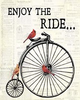 Bicycle With Cardinals A Fine Art Print
