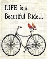 Bicycle With Cardinals B Fine Art Print