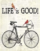 Bicycle With Cardinals C Fine Art Print