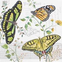 Butterfly Garden Fine Art Print