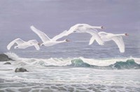 Riders On The Storm Fine Art Print