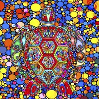 Colorful Turtle Fine Art Print