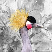 Crest Bird Fine Art Print