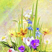 Garden Of Flowers M4 Fine Art Print