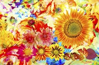 Garden Of Flowers M5 Fine Art Print