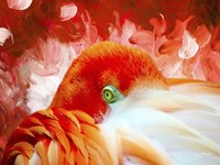 Red Flamigo Fine Art Print