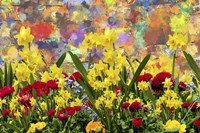 My Garden Fine Art Print