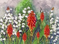 Nature And Beauty Fine Art Print