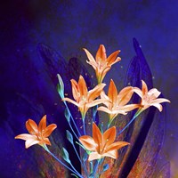 Purple And Orange Fine Art Print