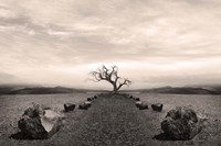 Dry Land 2 Fine Art Print