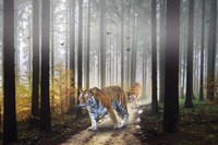 Forest King Fine Art Print