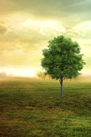 Lone Green Tree Fine Art Print