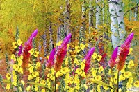 My Garden 4 Fine Art Print