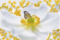 Nature S1 Fine Art Print