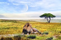 Nature S3 Fine Art Print