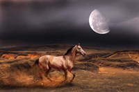 Nature S20 Fine Art Print