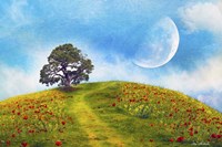 Nature S33 Fine Art Print