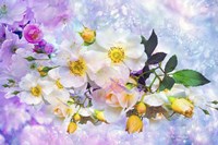 Nature S114 Fine Art Print