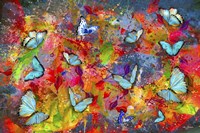Butterflies Are Colorful Fine Art Print