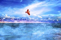 Colors And Nature As1 Fine Art Print