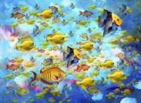 Fish World Fine Art Print
