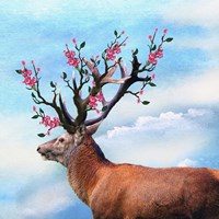 Flower Head Fine Art Print