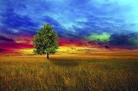 Lone Tree 2D Fine Art Print