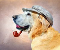 Nice Pose Dude Fine Art Print