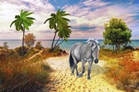 Wild Horse Of The Sea Fine Art Print