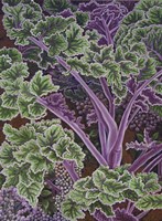Cabbage Stalks Fine Art Print