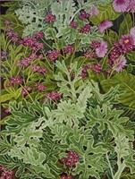 Dusty Miller with Pinks Fine Art Print
