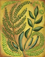 Fern 2 Fine Art Print