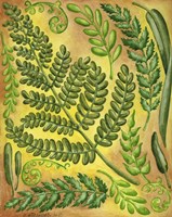 Fern 4 Fine Art Print