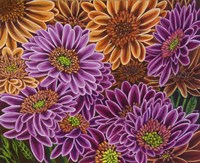 Gerbera Mostly Magenta Fine Art Print