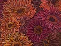 Gerbera Orange Red Fine Art Print